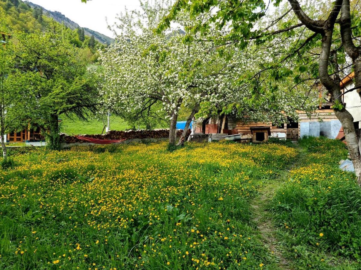 Girgola Bed and Breakfast Μέστια Εξωτερικό φωτογραφία